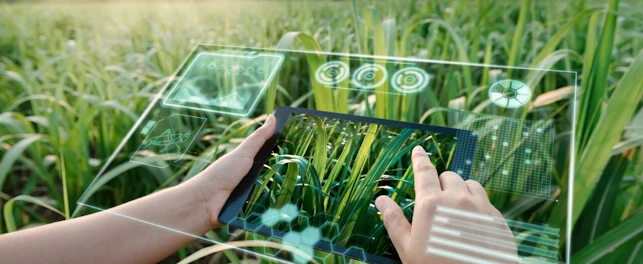 ISO55013数据资产