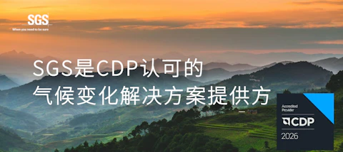 CDP2026变化