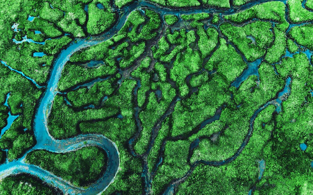 Aerial view of meander river with affluents and green vegetation