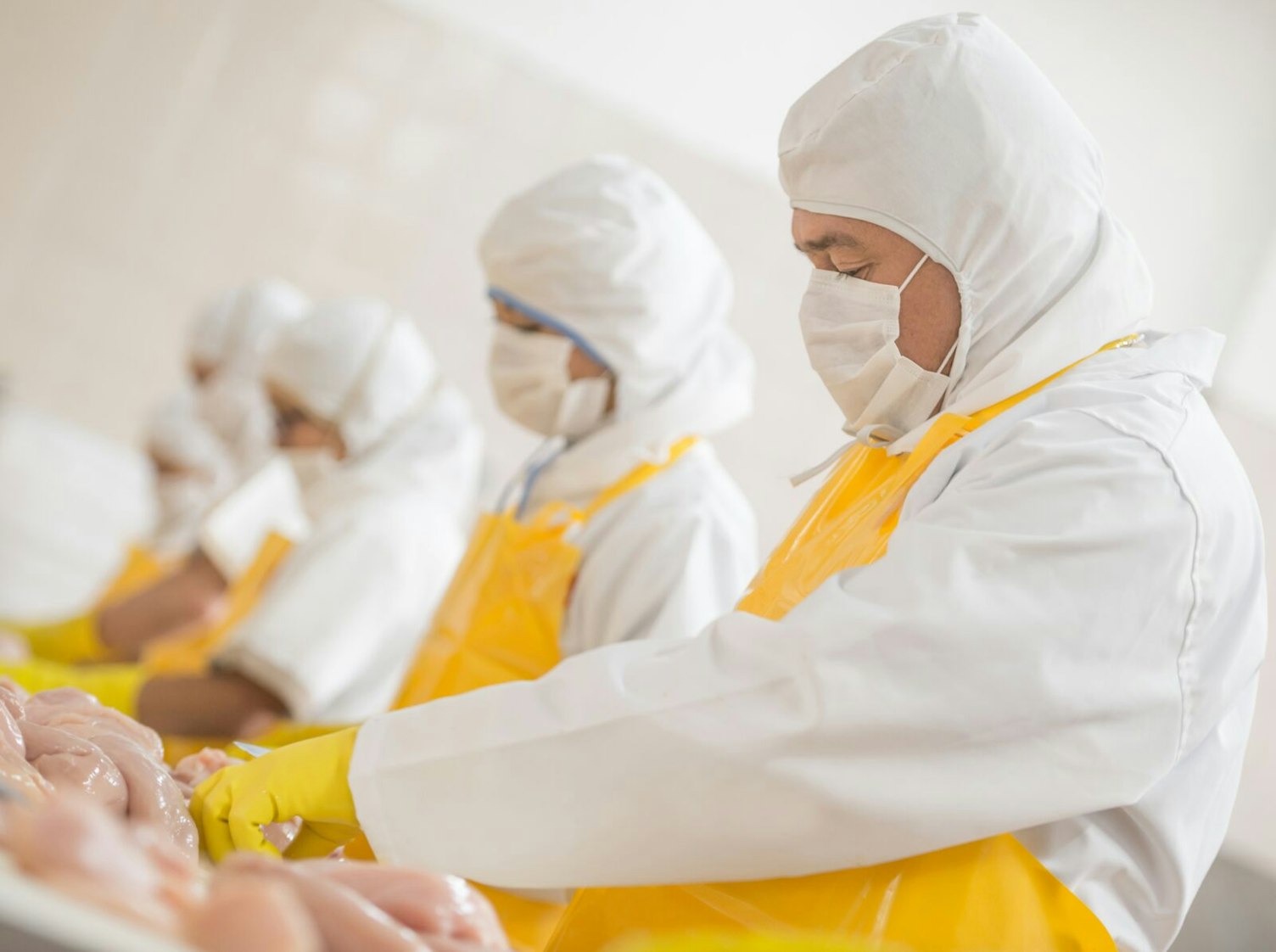 Workers in Food Factory Clip