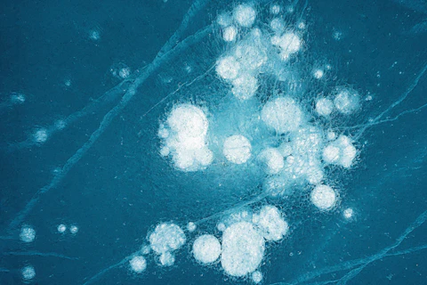 CC 2026 Q1 bluesign