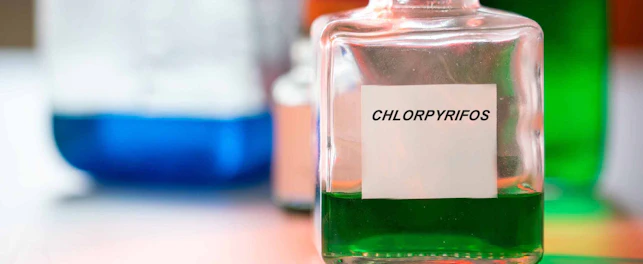 Chlorpyrifos