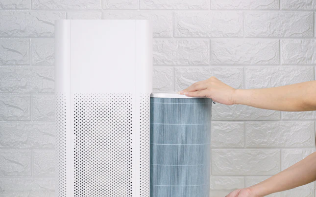 Replace the air purifier filter in the house