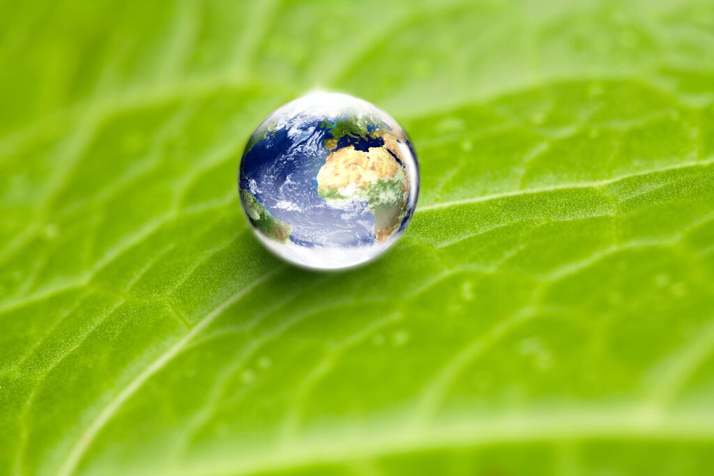 Water drop on leaf earth