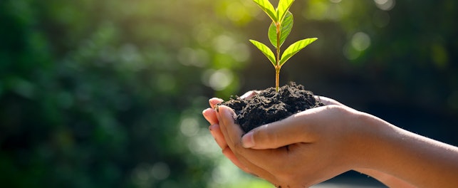 Forest Conservation Concept