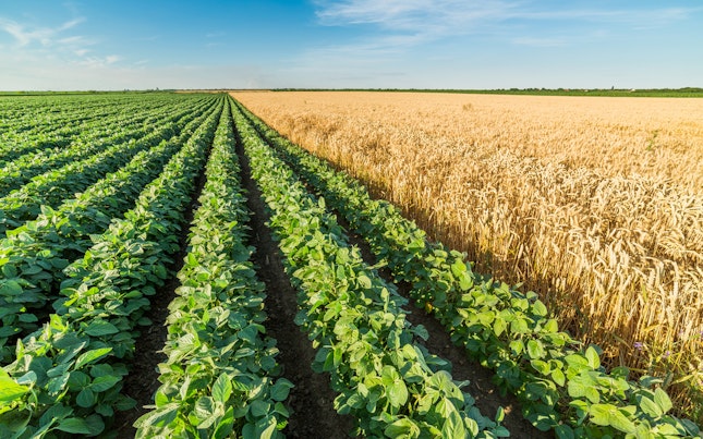 工厂里的甜甜圈