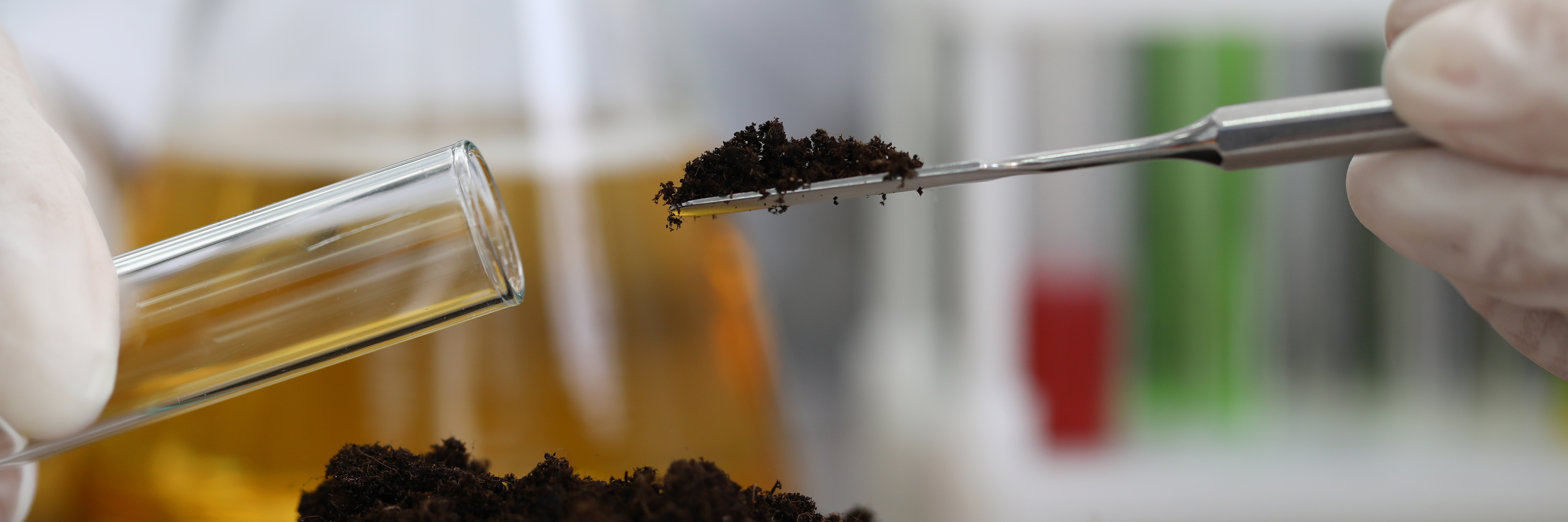 相同的植物样品