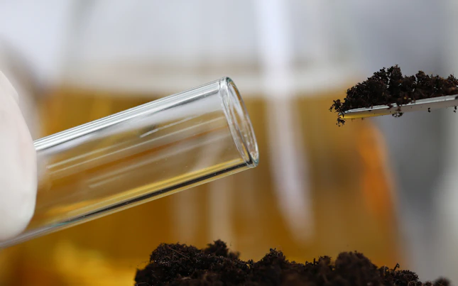 相同的植物样品