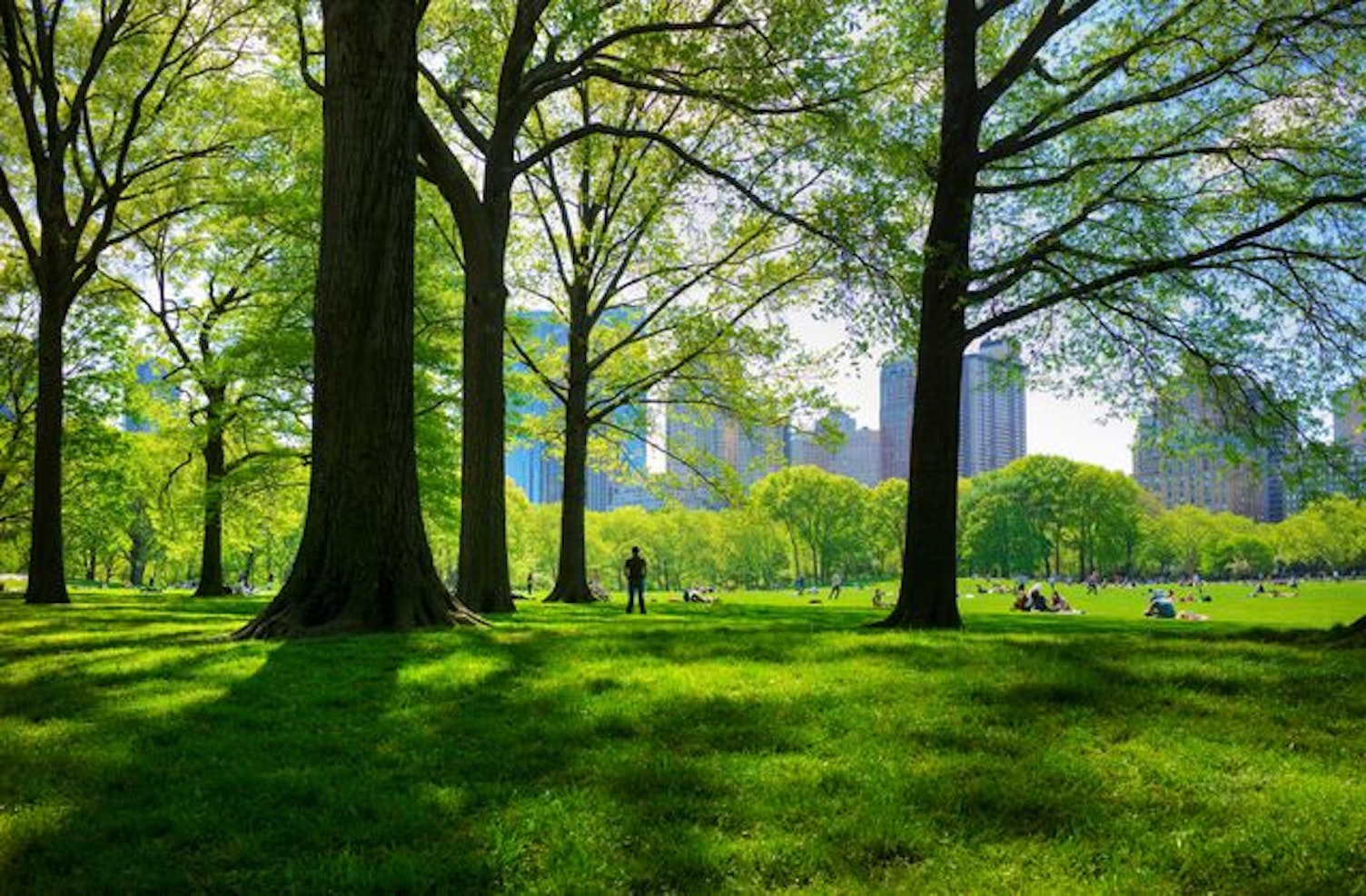 smallCentral Park New York USA
