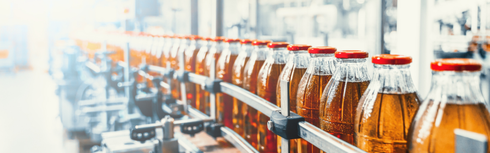 检测玻璃板中的微生物