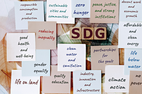 UN SDGs