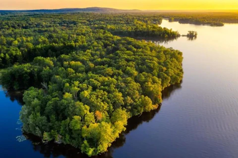 SGS助力外运物流试点在CDP评级中获得B评级