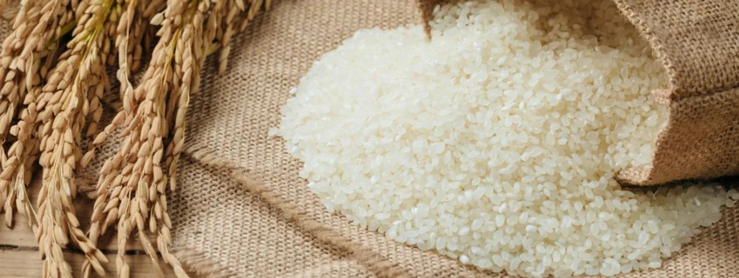 大米粮食