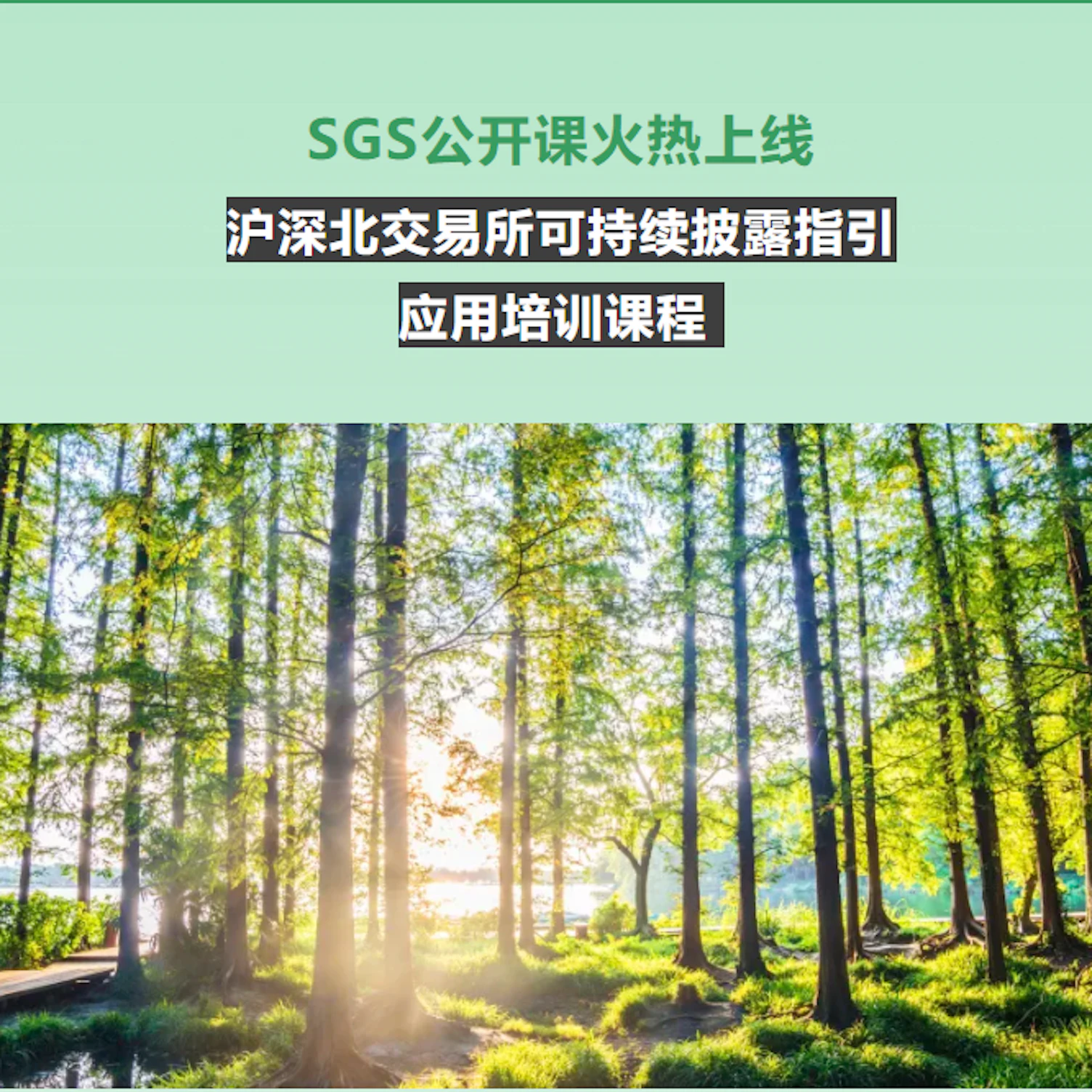 沪深北交易所可持续披露指引  应用培训课程 