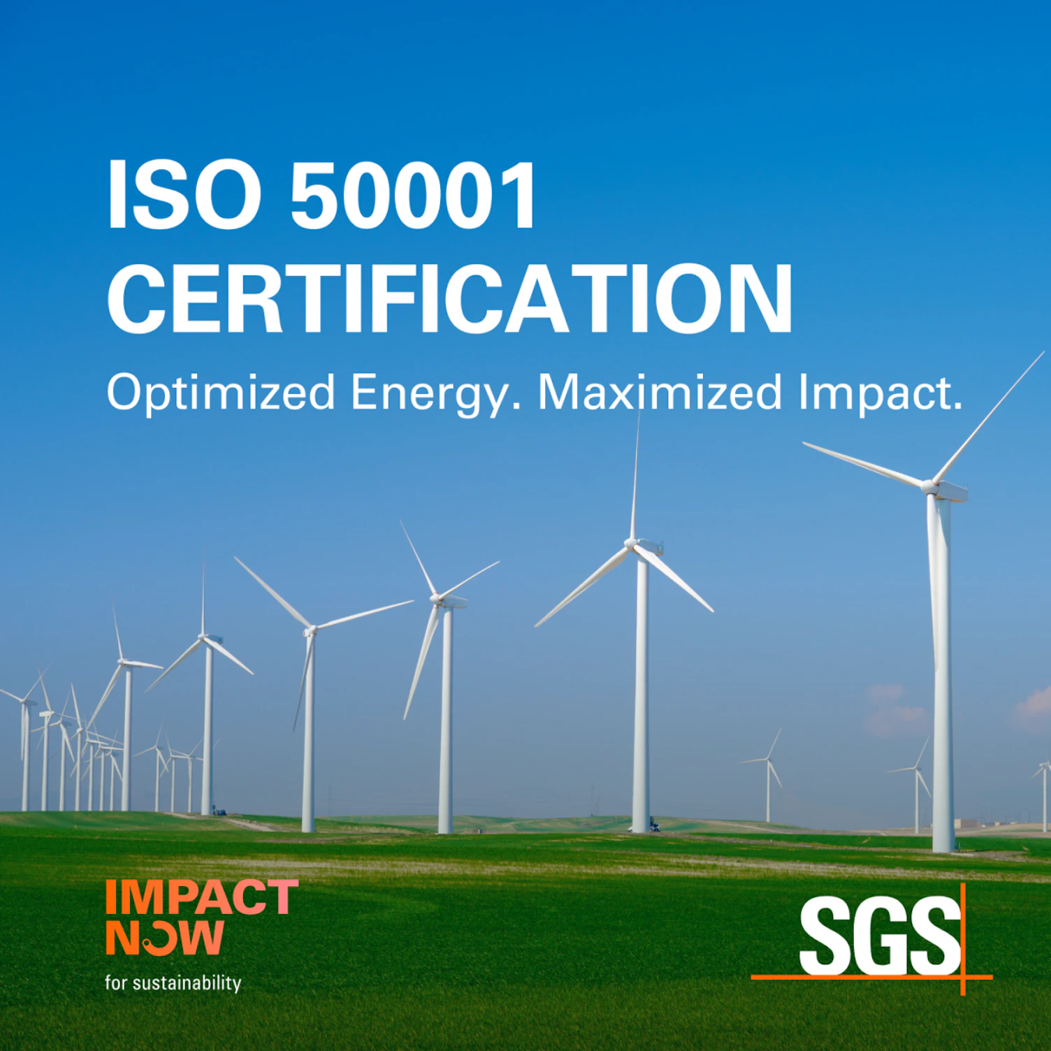 IMPACT NOW ISO 50001