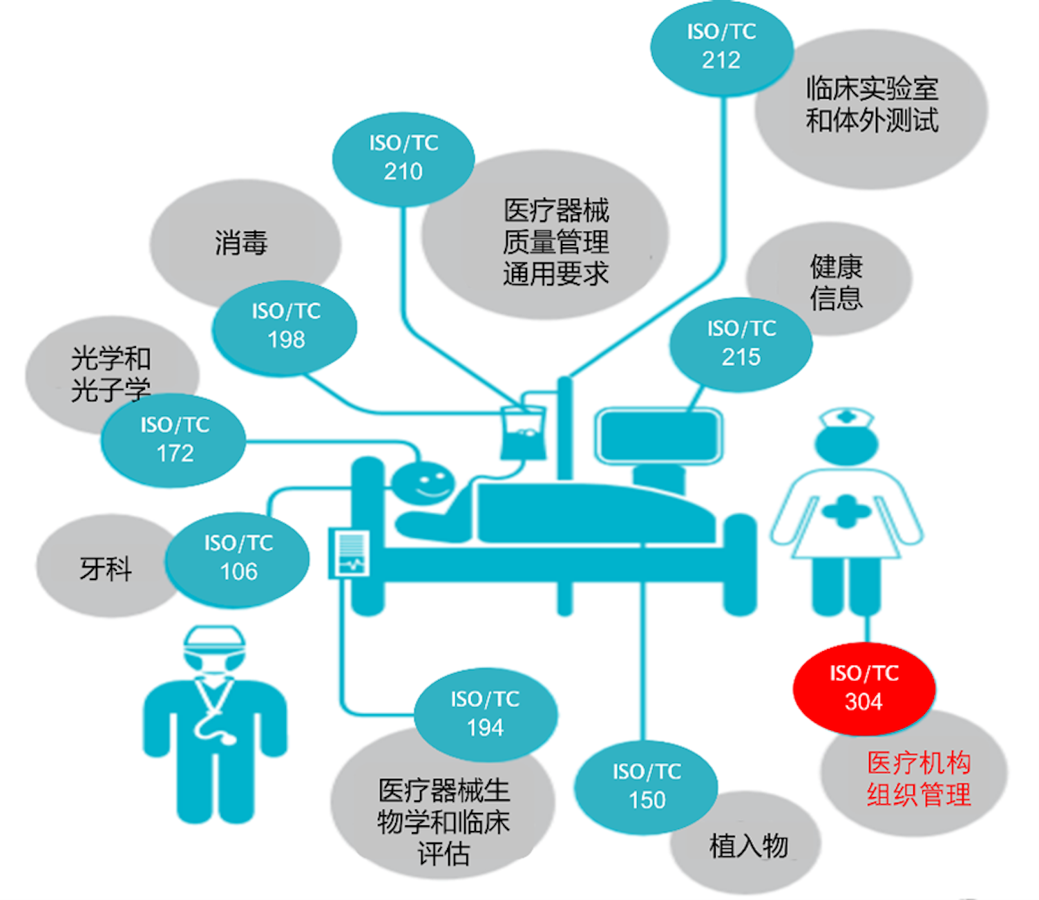 ISO和健康的关系
