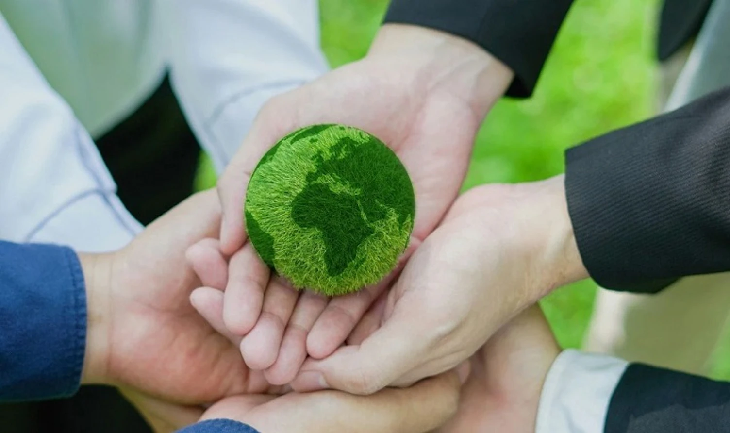 伊利获SGS颁发的“废弃物零填埋”管理体系认证证书