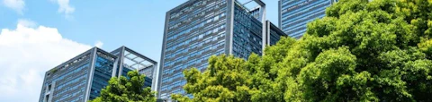 建筑物和树