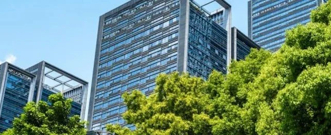 建筑物和树