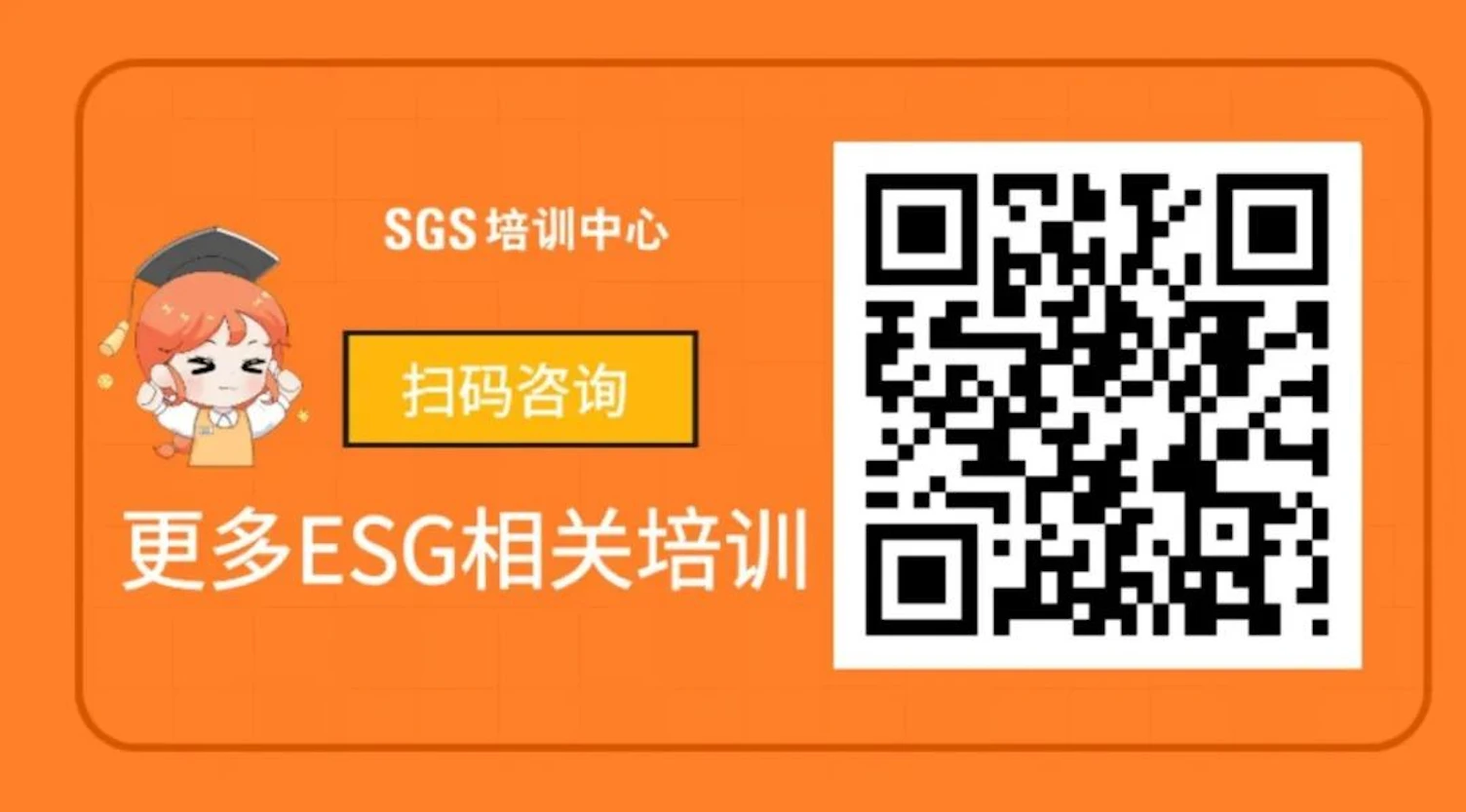 ESG咨询服务通道