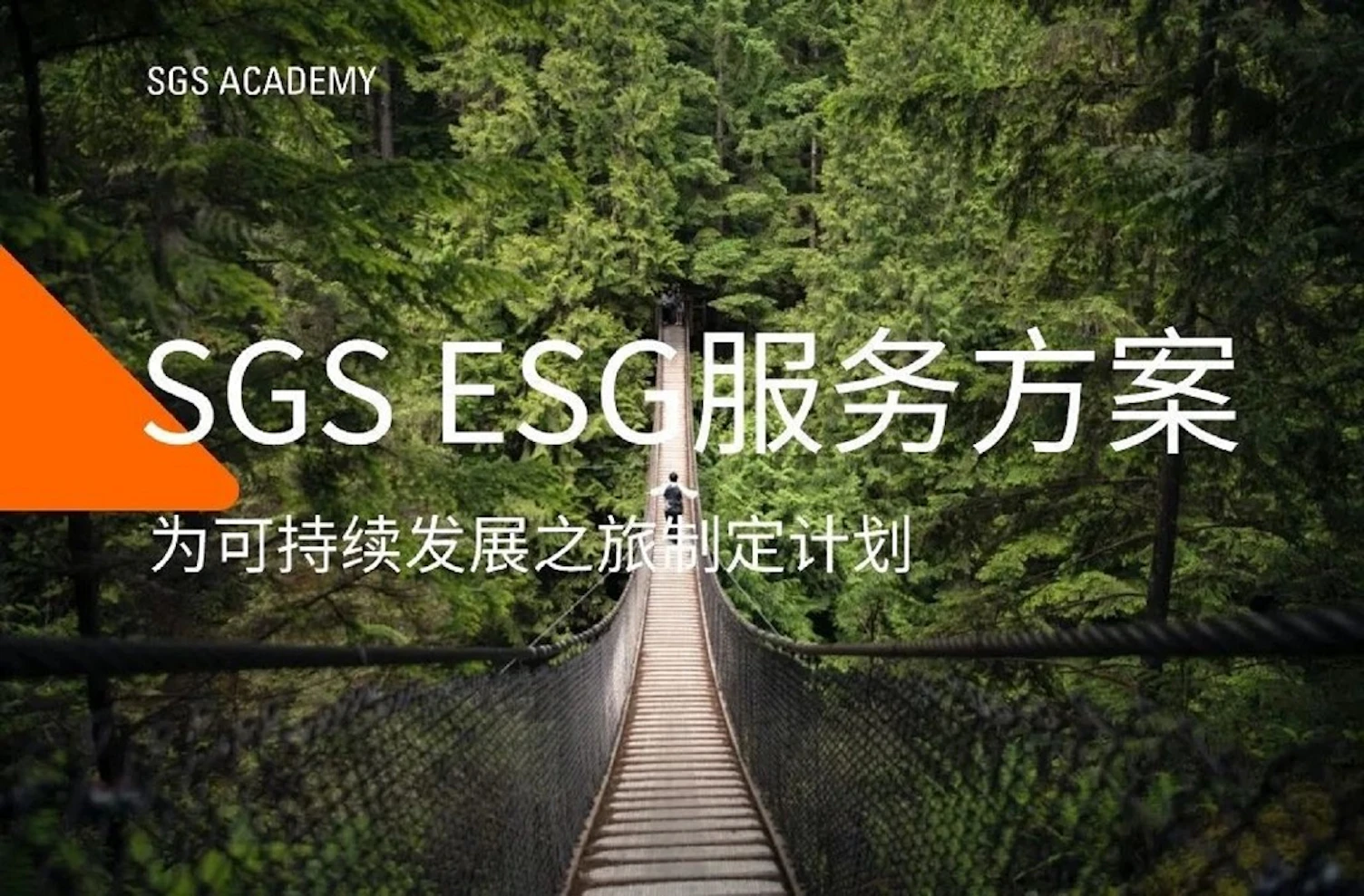 ESG服务解决方案