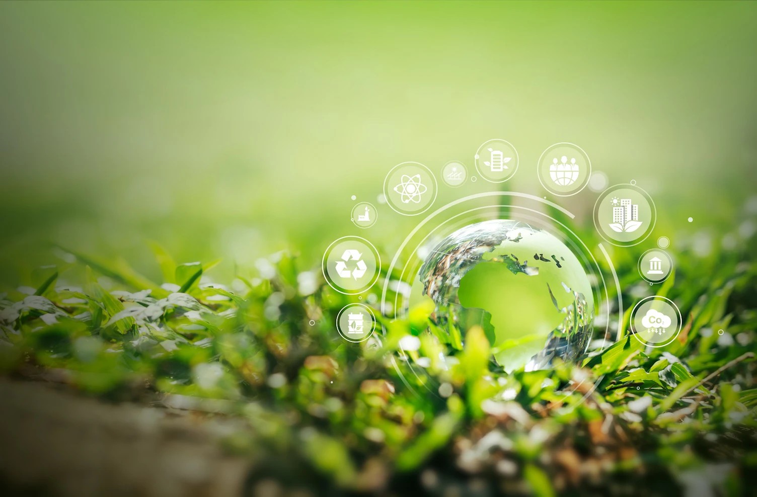 可持续发展绿色生态