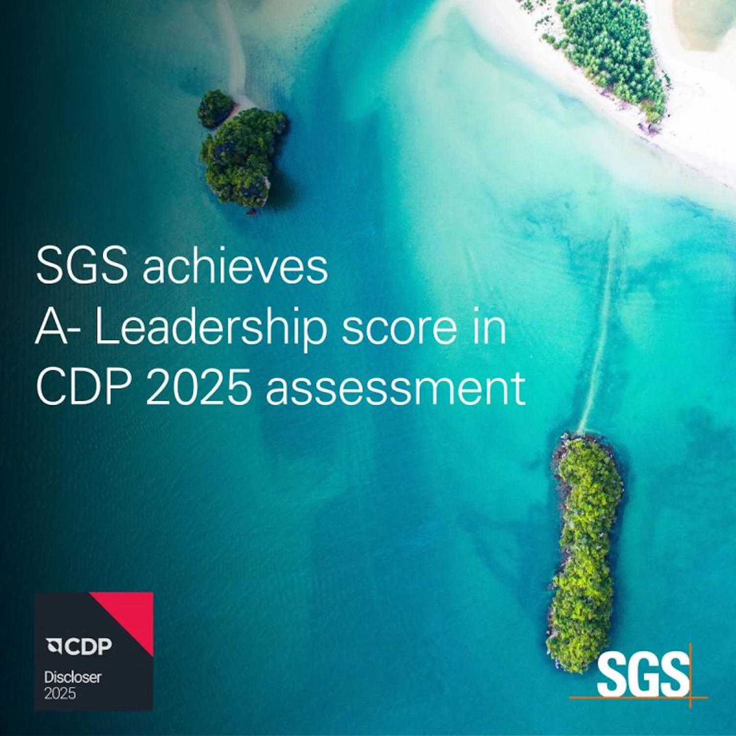 CDP 2025 1