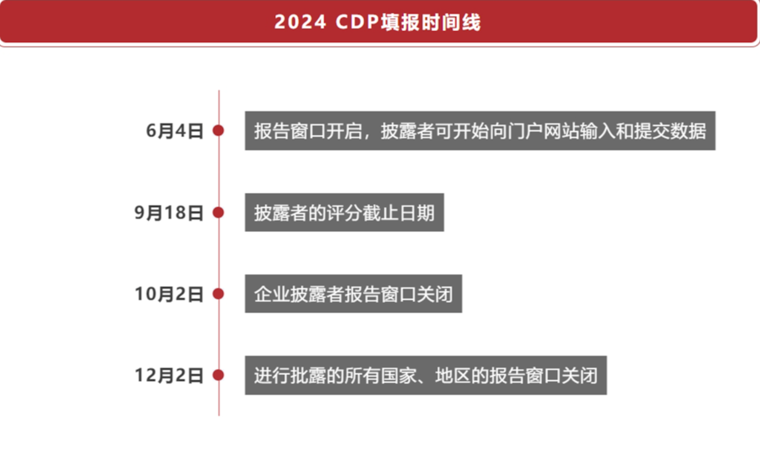 CDP2024填报时间线