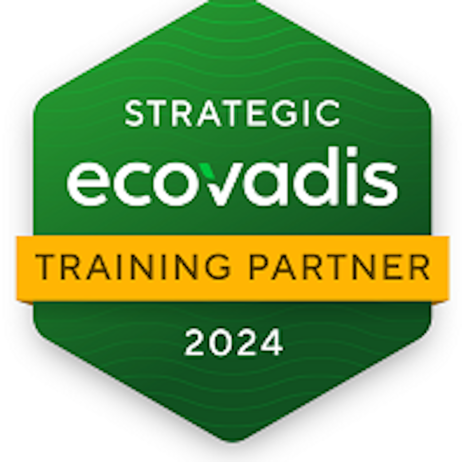 官宣！SGS成为EcoVadis战略培训合作伙伴——帮助中国企业评估和提升可持续性表现