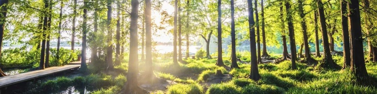 SGS拜访ISSB北京办公室并获授 “可持续披露准则先学伙伴”