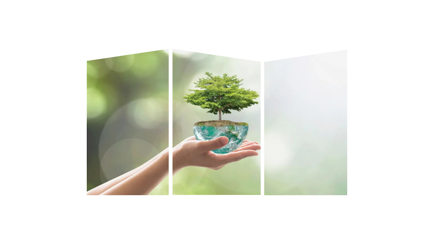 手托绿色树木