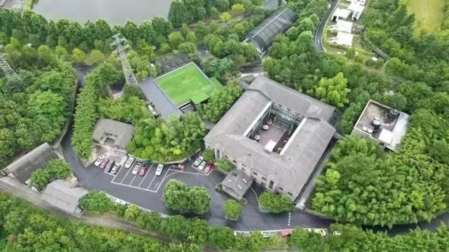绿色森林