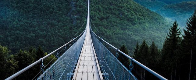 orig bridg across canope-unsplash