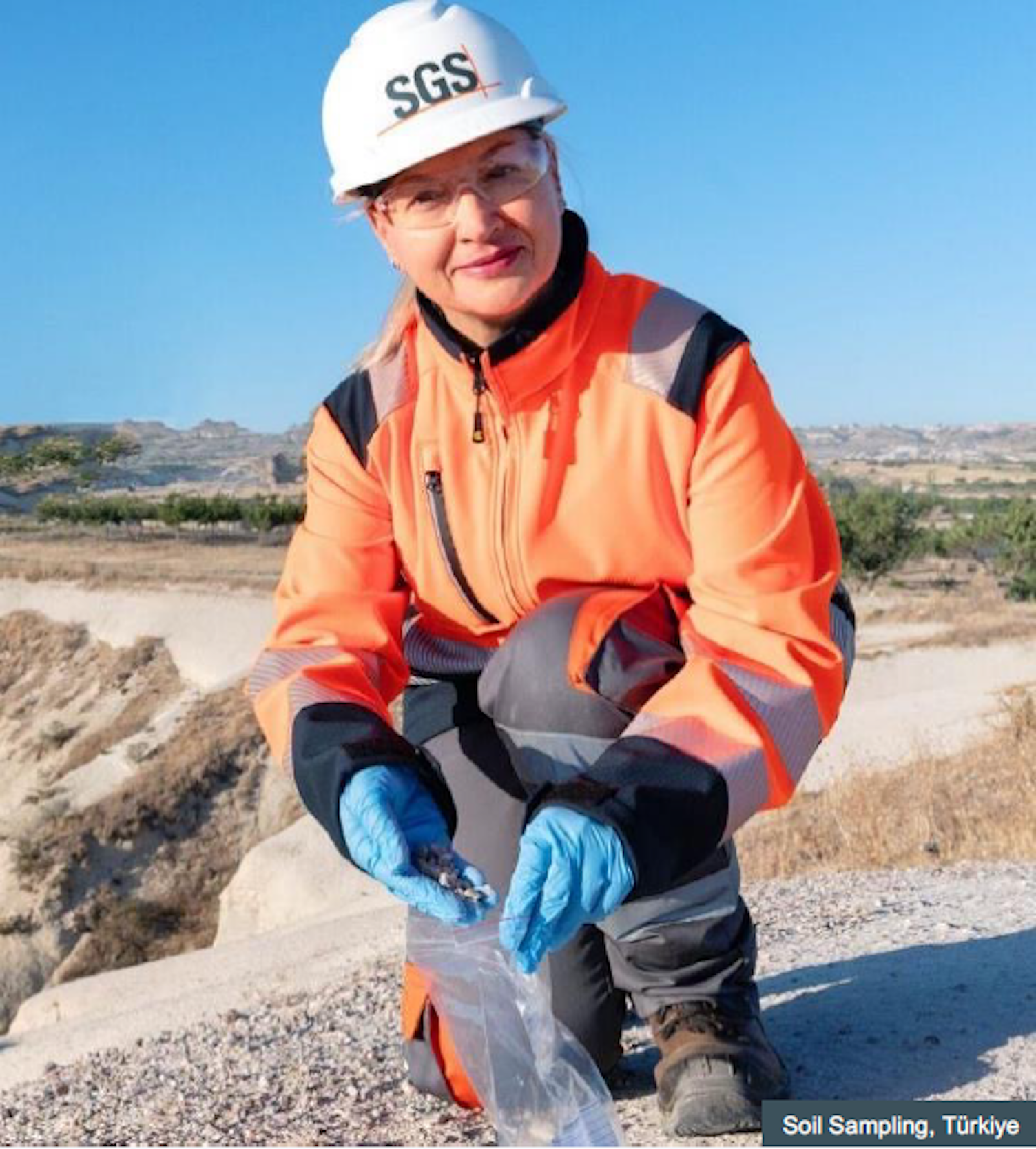 Q1 2025 sales update 4