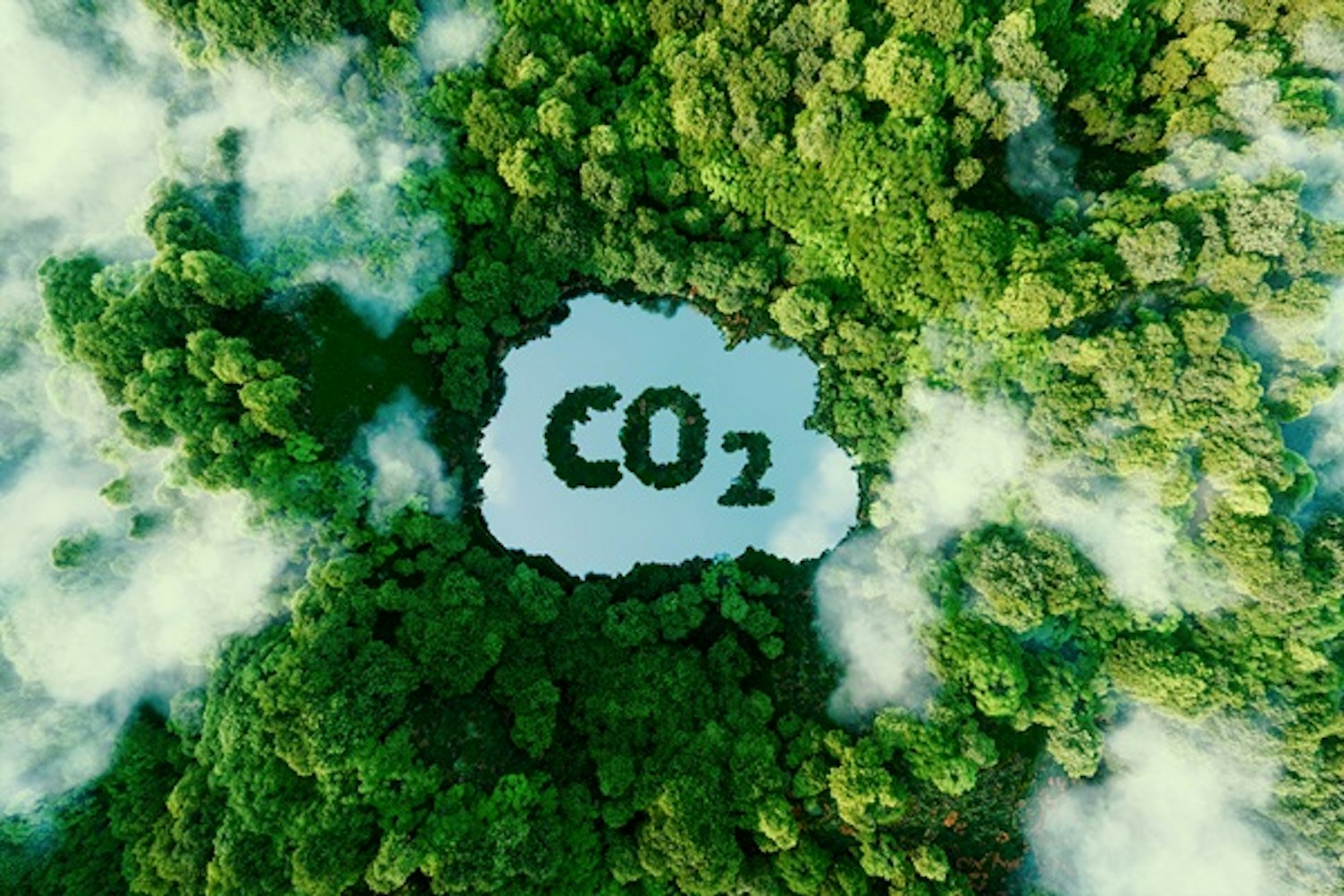 carbon emissions