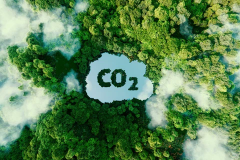 carbon emissions