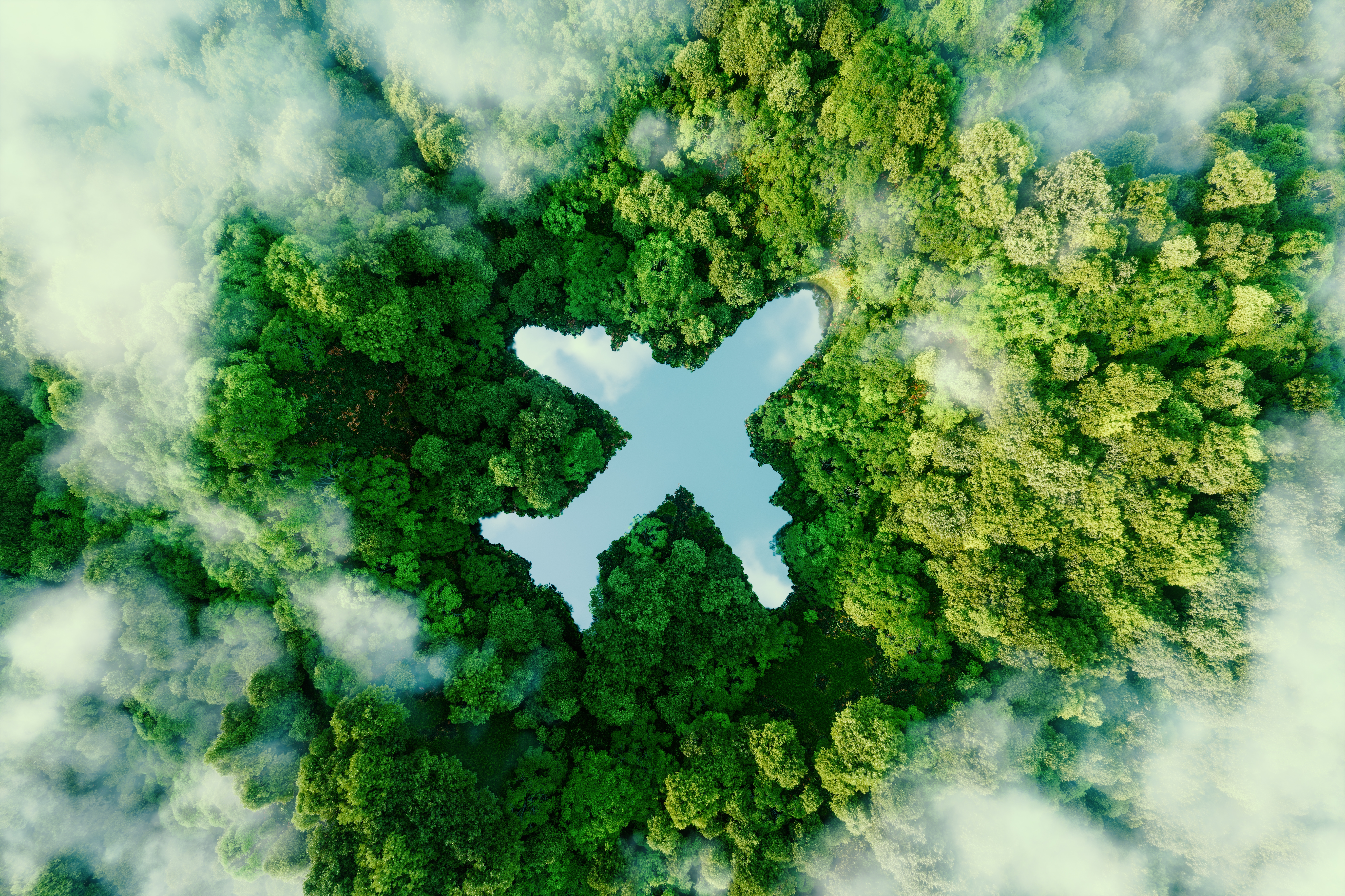 A Lake in the Shape of an Airplane in the Middle of Untouched Nature