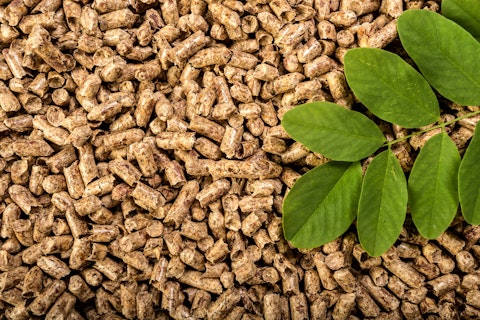 Feeds and Leaves