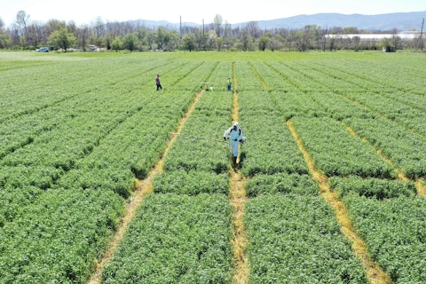 Field Trials Crop Science