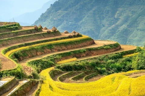 Lush agricultural fields cultivated on hill slope in sunny highlands