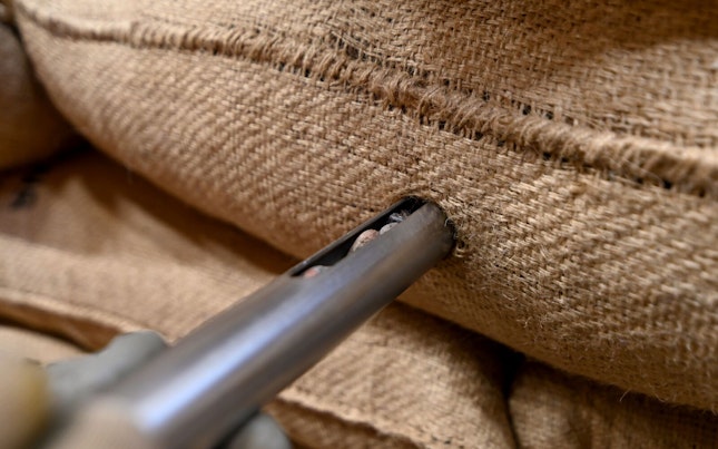 SGS Natural Resources Agri Commodities Antwerp Belgium