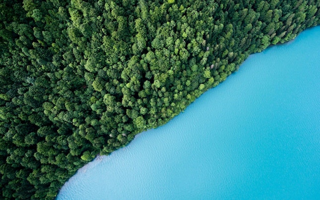 Tropical Landscape