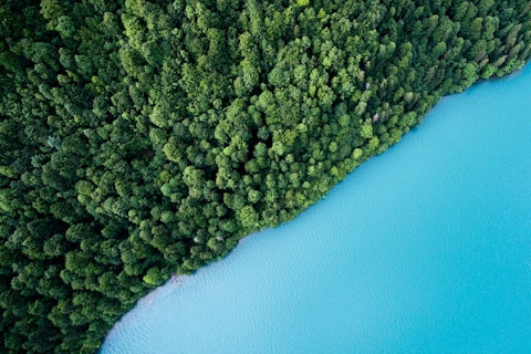 Tropical Landscape
