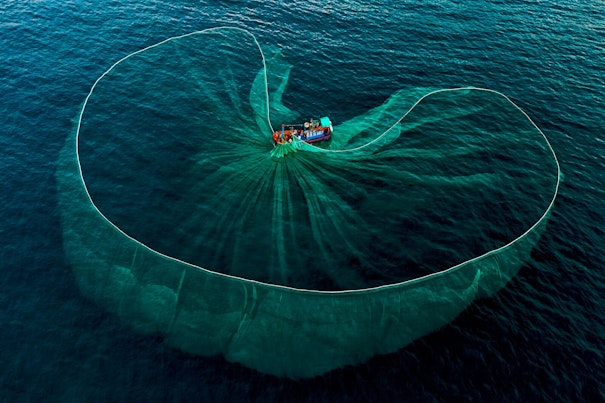海鲜