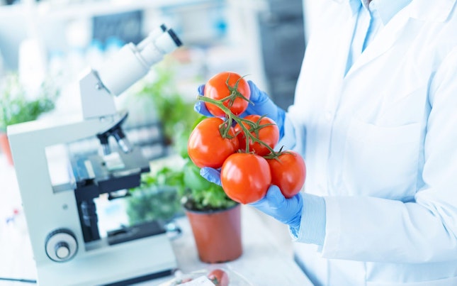 工厂里的甜甜圈