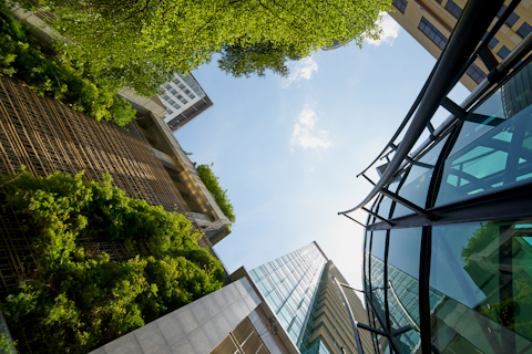 Buildings Bottom View