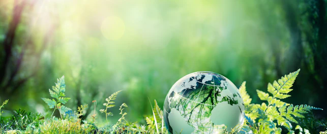 Business Sustainability