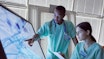 Doctors checking microorganism on big screen
