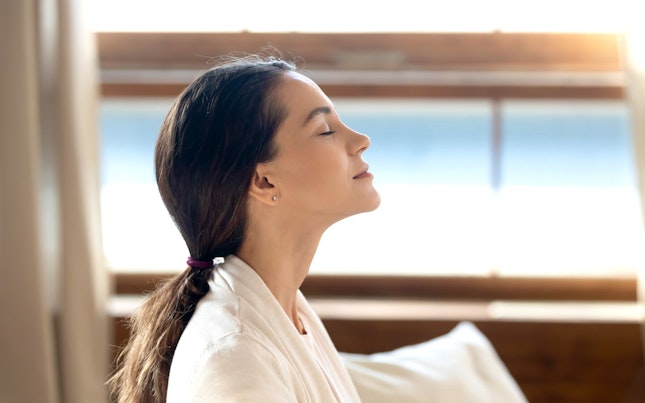 海岸的空中视图