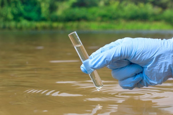 Sample Water from a River  Taken for Analysis